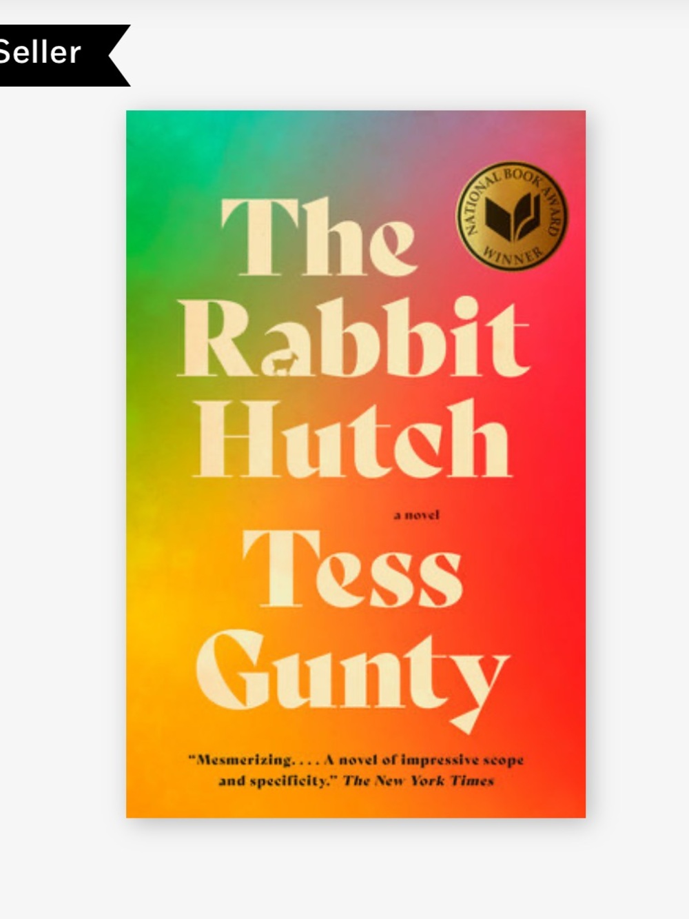 The Rabbit Hutch by Tess Gunty - new Paperback